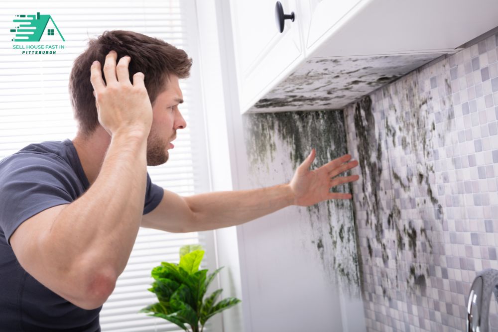 Selling a House With Mold Problems in Pittsburgh: Fast Solutions for a Common Issue